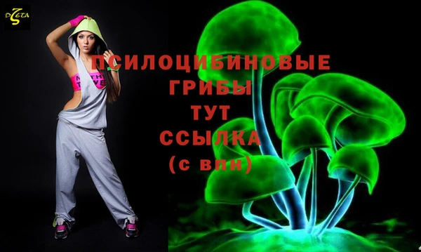 прущие крисы Алексин