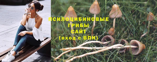 прущие крисы Алексеевка