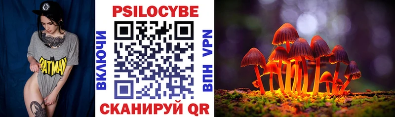 Псилоцибиновые грибы Psilocybine cubensis  Староминская 